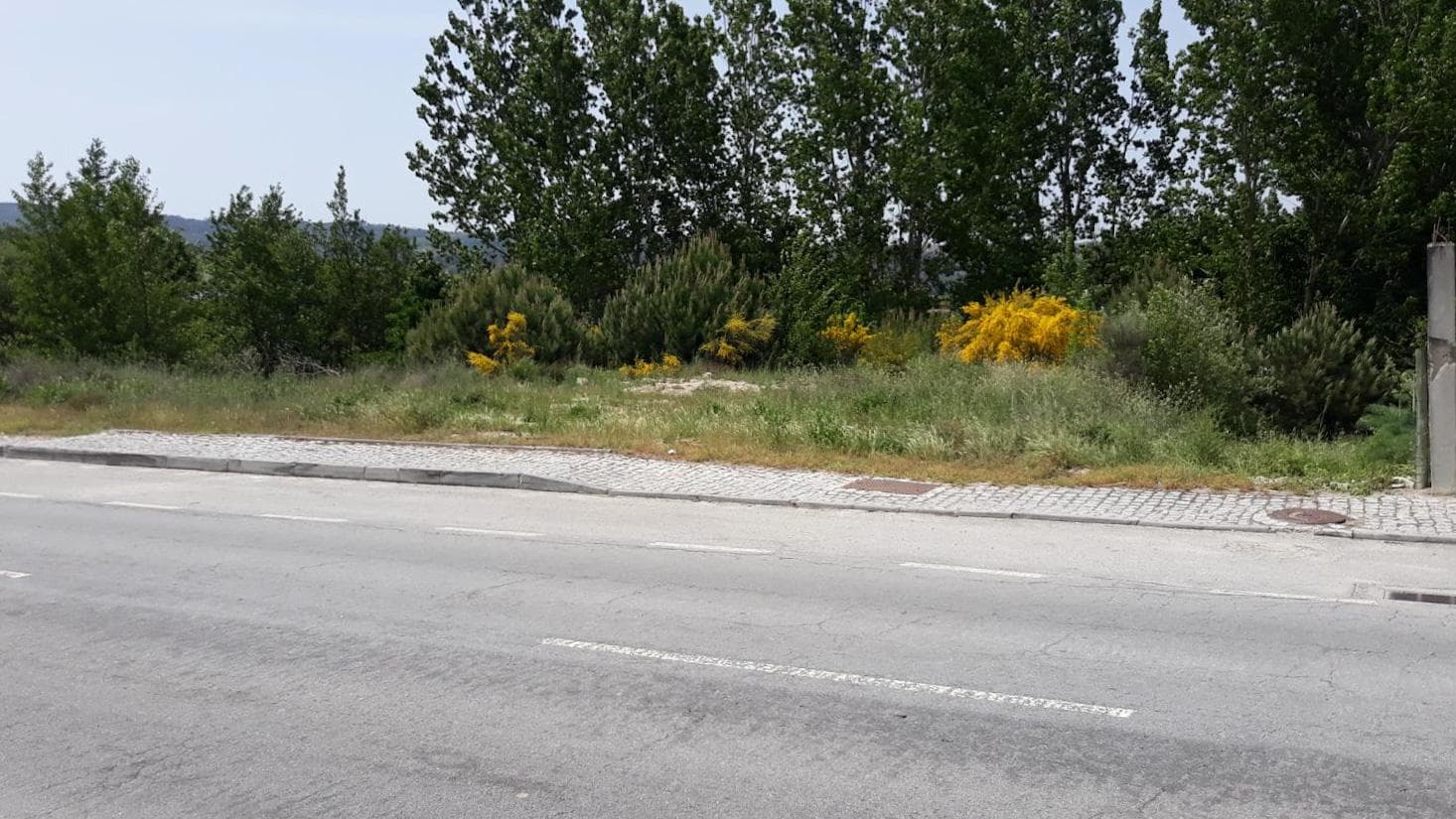 Lote para Construção · Moimenta da Beira, Viseu — imagem 1