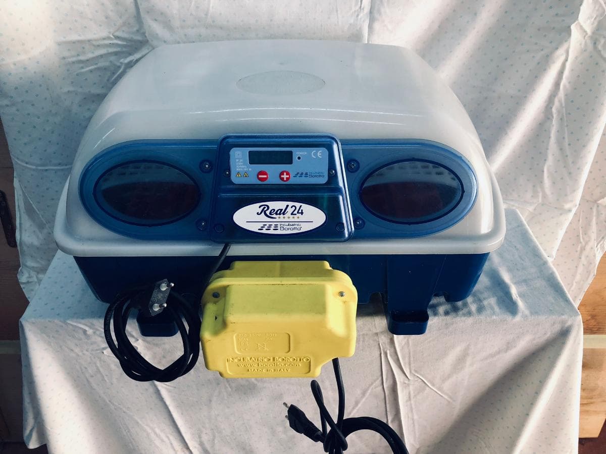 Máquina de incubação — imagen 1