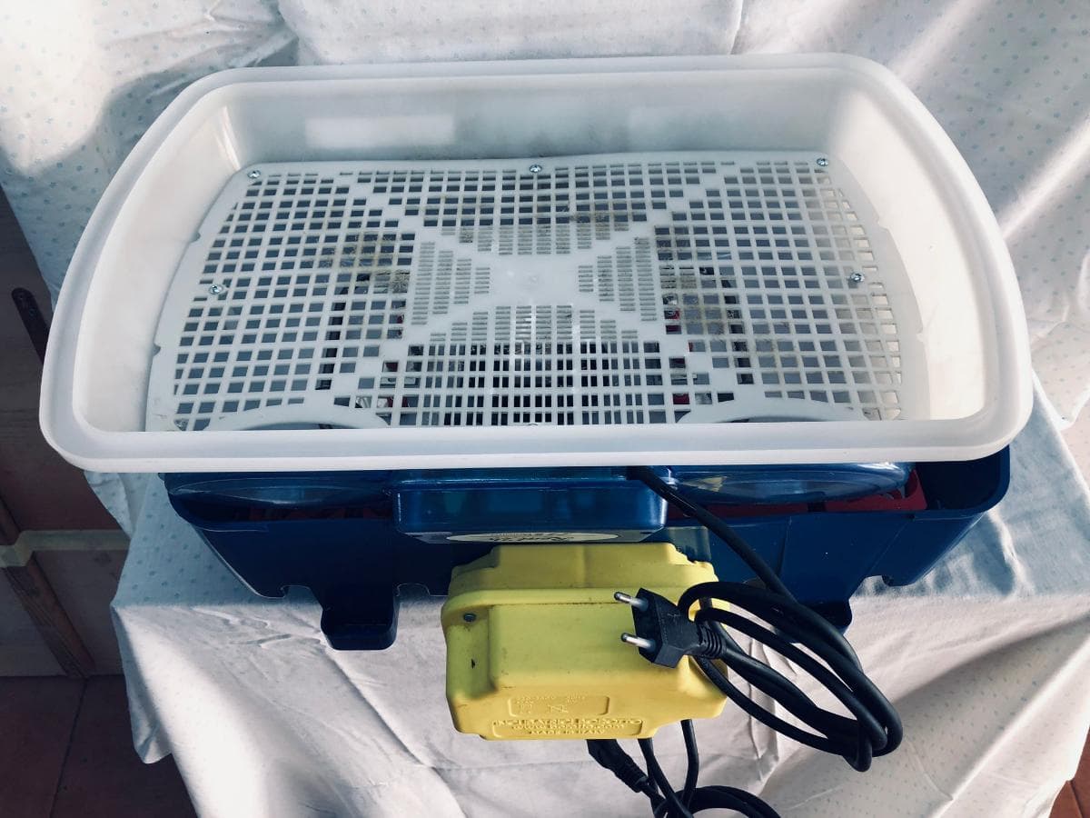 Máquina de incubação — imagen 2