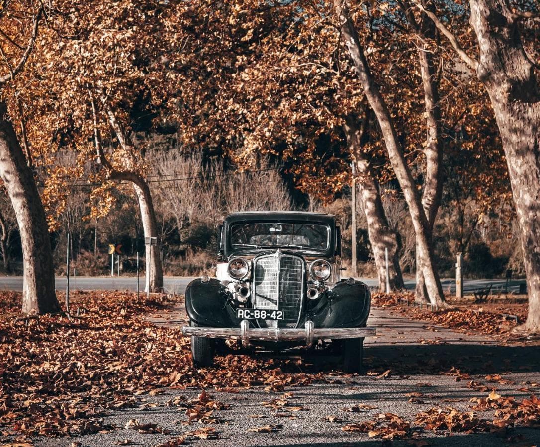 Nash Ambassador - 1934 — imagem 4