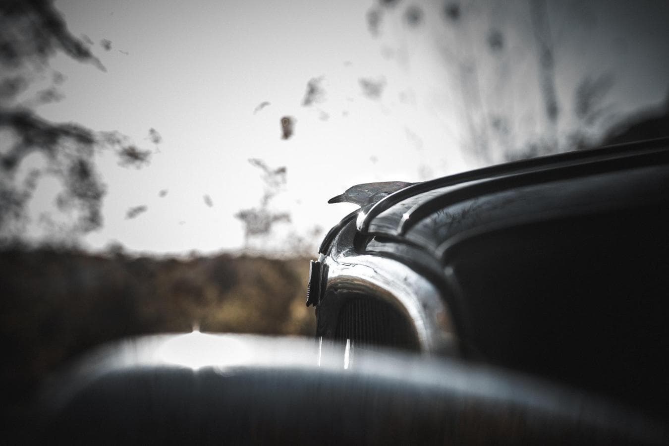 Nash Ambassador - 1934 — imagem 7