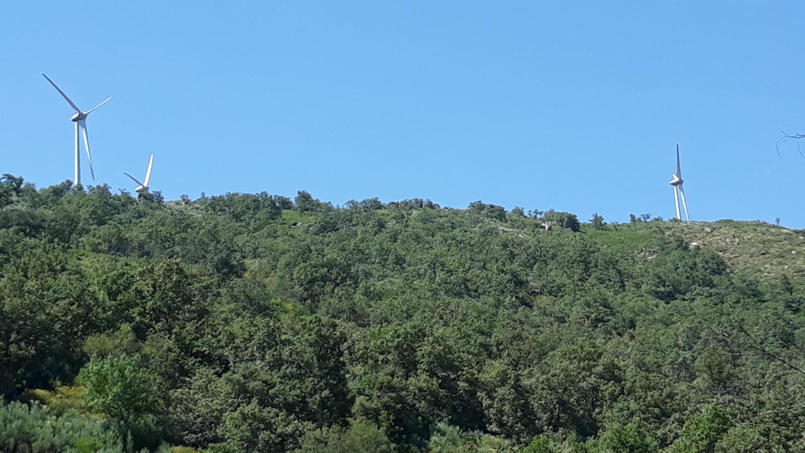 Quinhão Hereditário — imagem 6