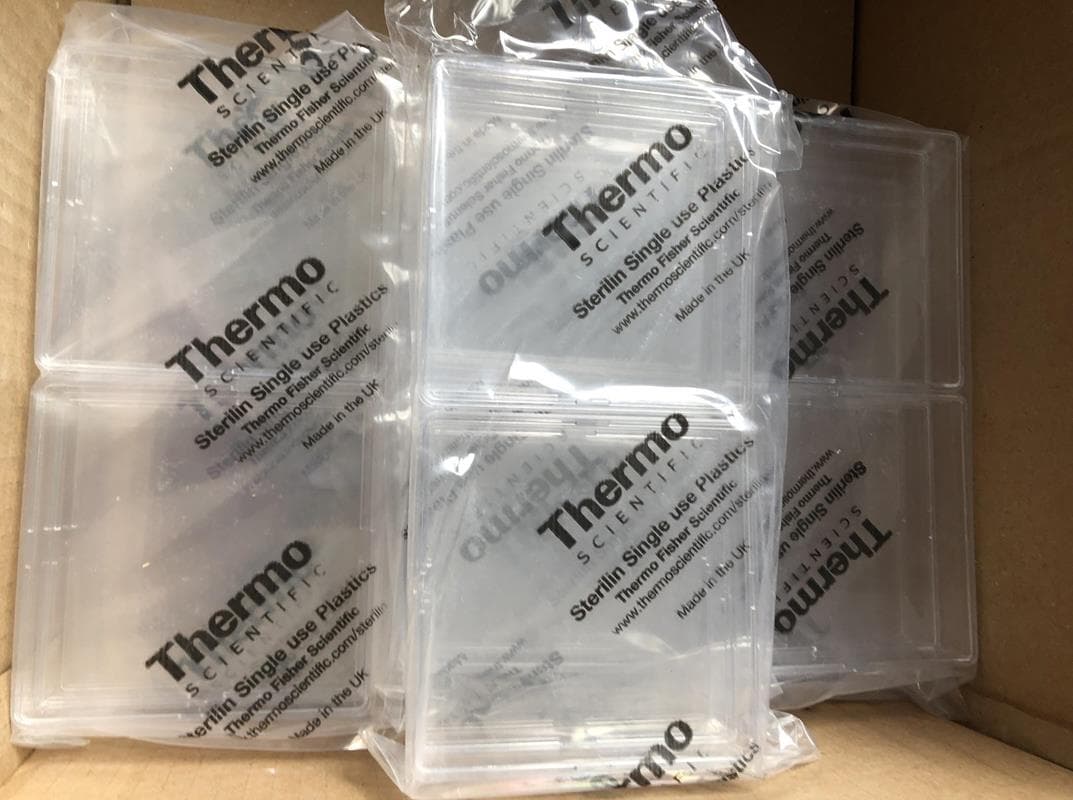 Pratos Plásticos — imagen 1