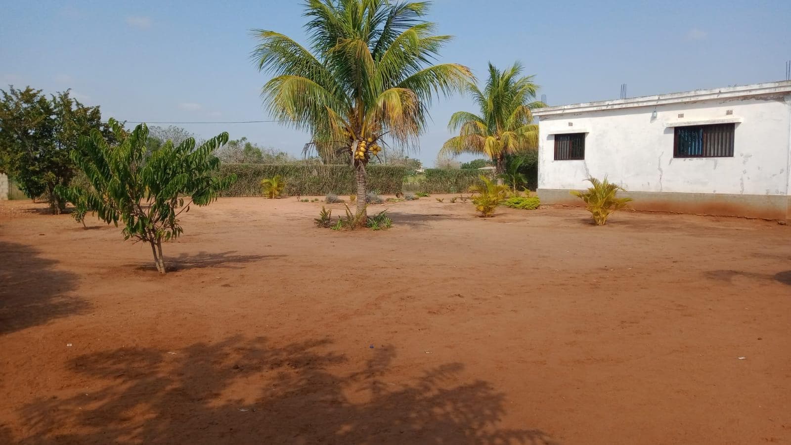 Quinta em Mulotane · — imagem 11