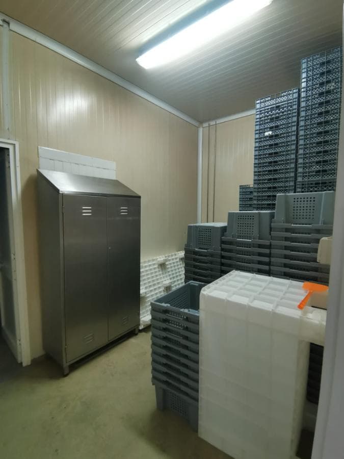 Fábrica Completa para Indústria Carnes · Alcáçovas · Viana do Alentejo — imagen 68