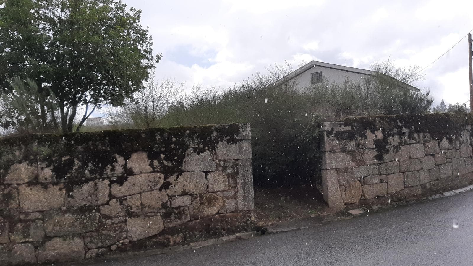 Terreno para construção · Oliveira do Hospital — imagem 1