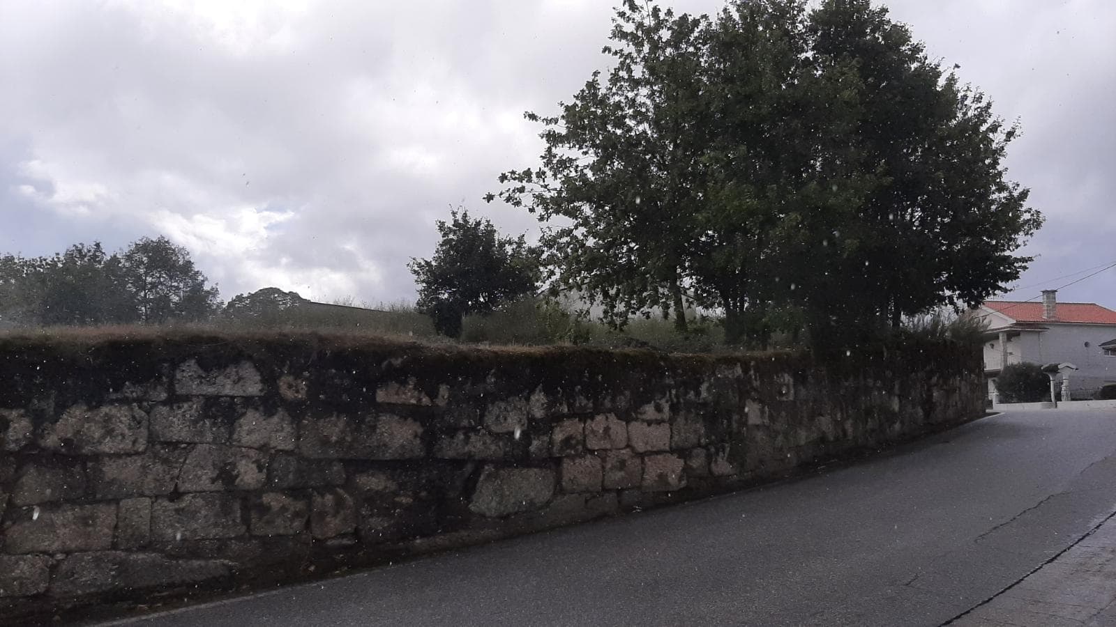 Terreno para construção · Oliveira do Hospital — imagem 4