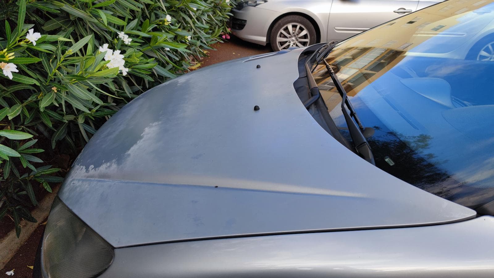 PEUGEOT 206 — imagen 5