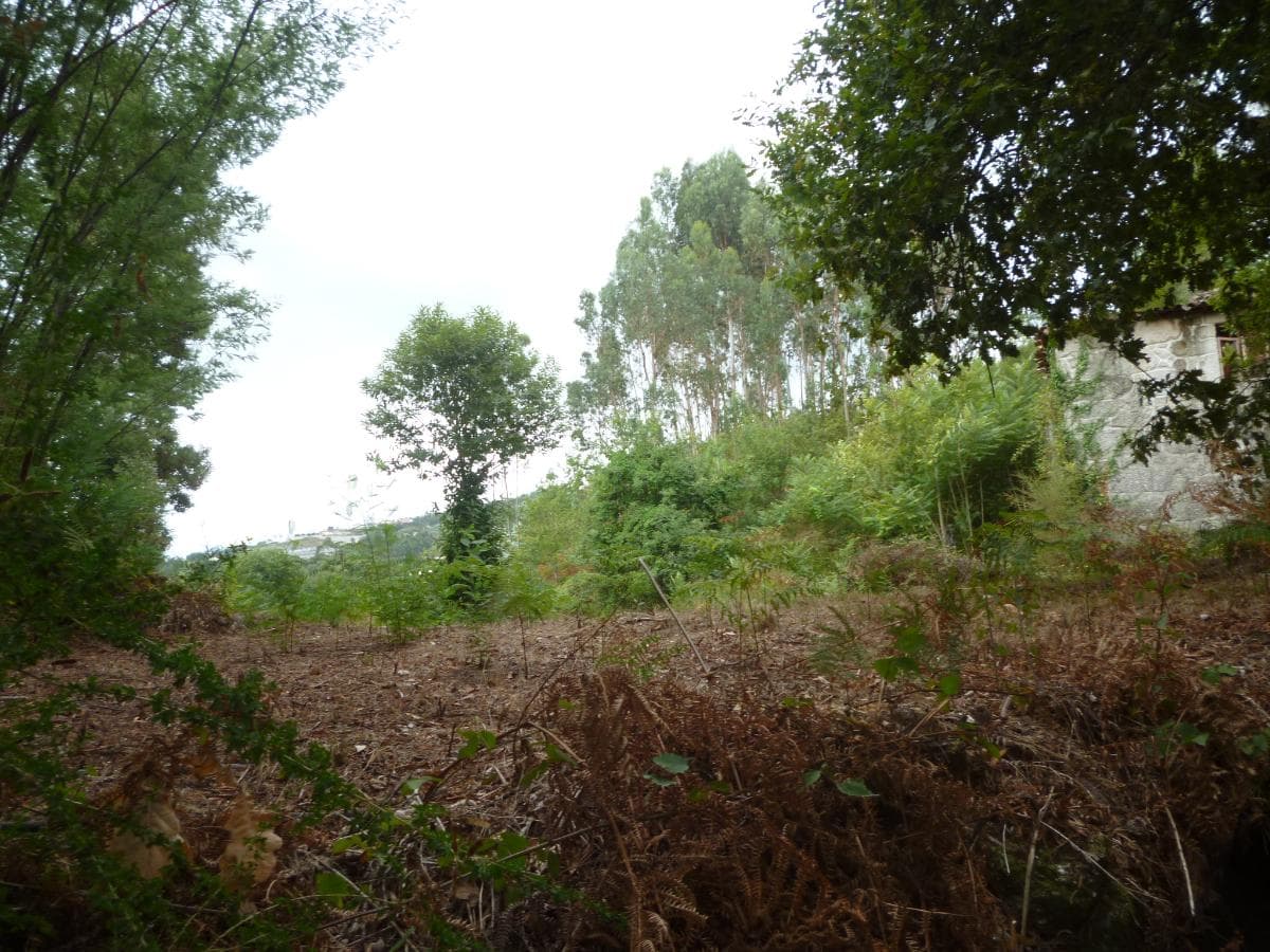 Quinhão Hereditário · Fafe — imagen 4