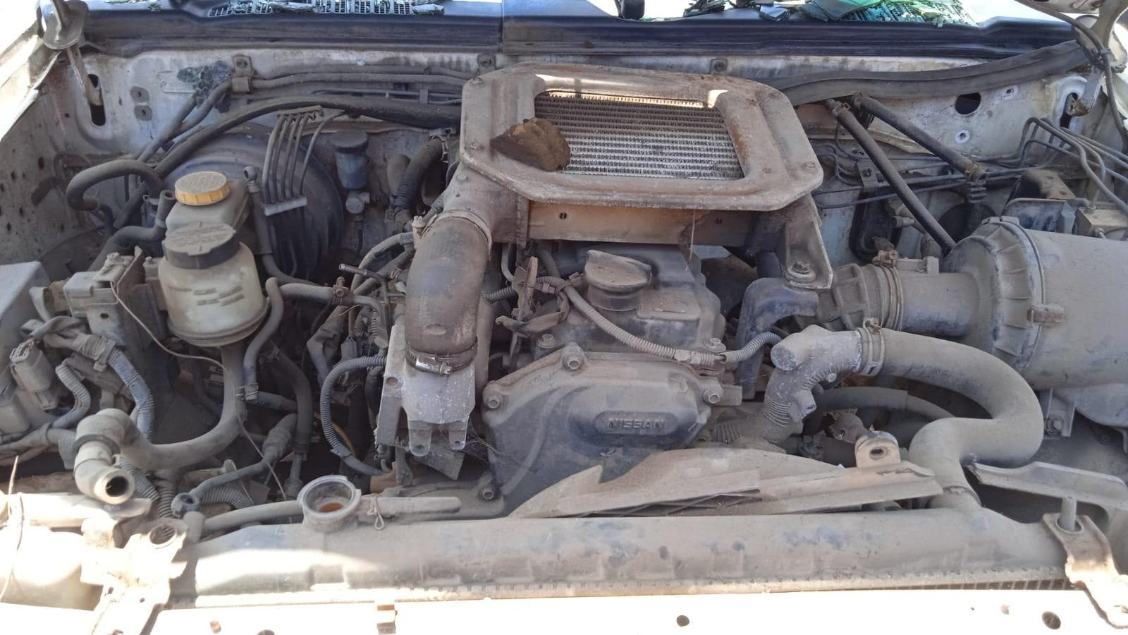 Nissan Hardbody · — imagem 8