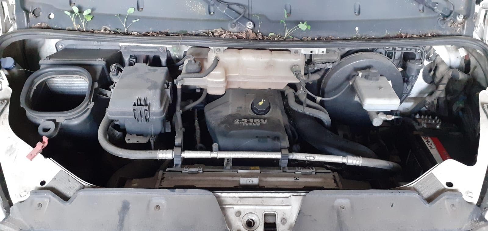 Iveco Daily 3551 TV · Ano 2010 — imagen 12