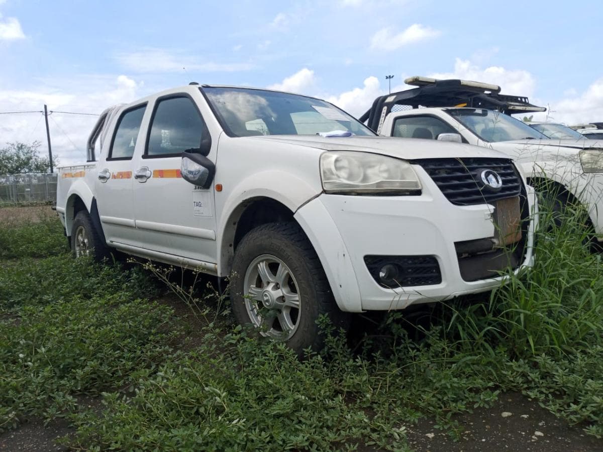 GWM  Steed 5