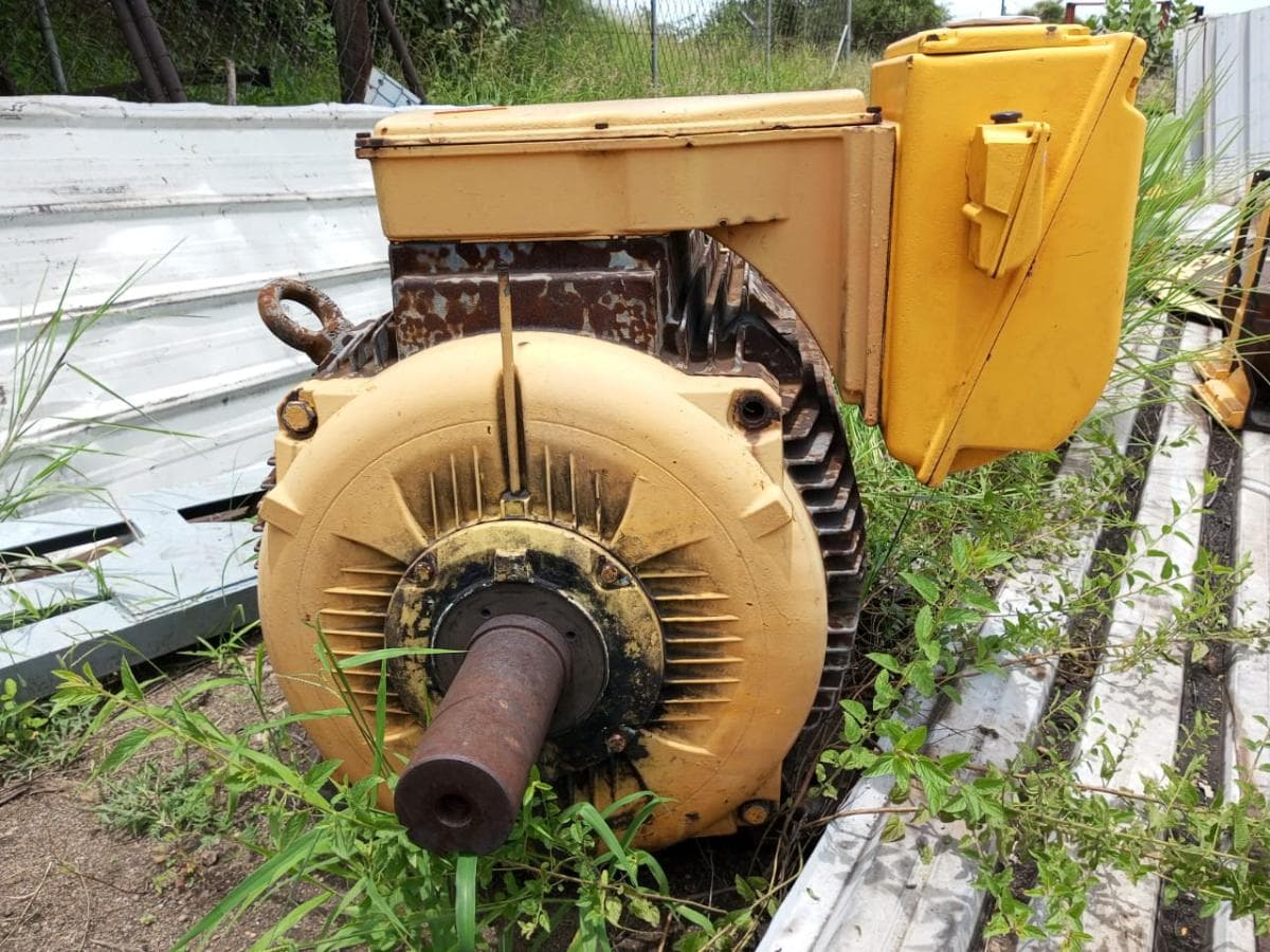 Motor