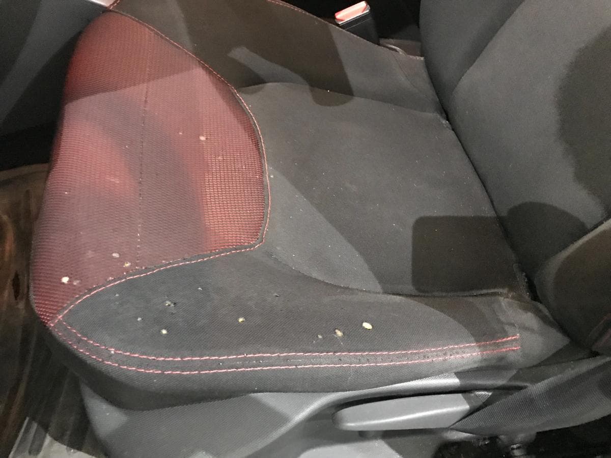 Renault Clio 1.5 DCI · Ano 2014 — imagen 36
