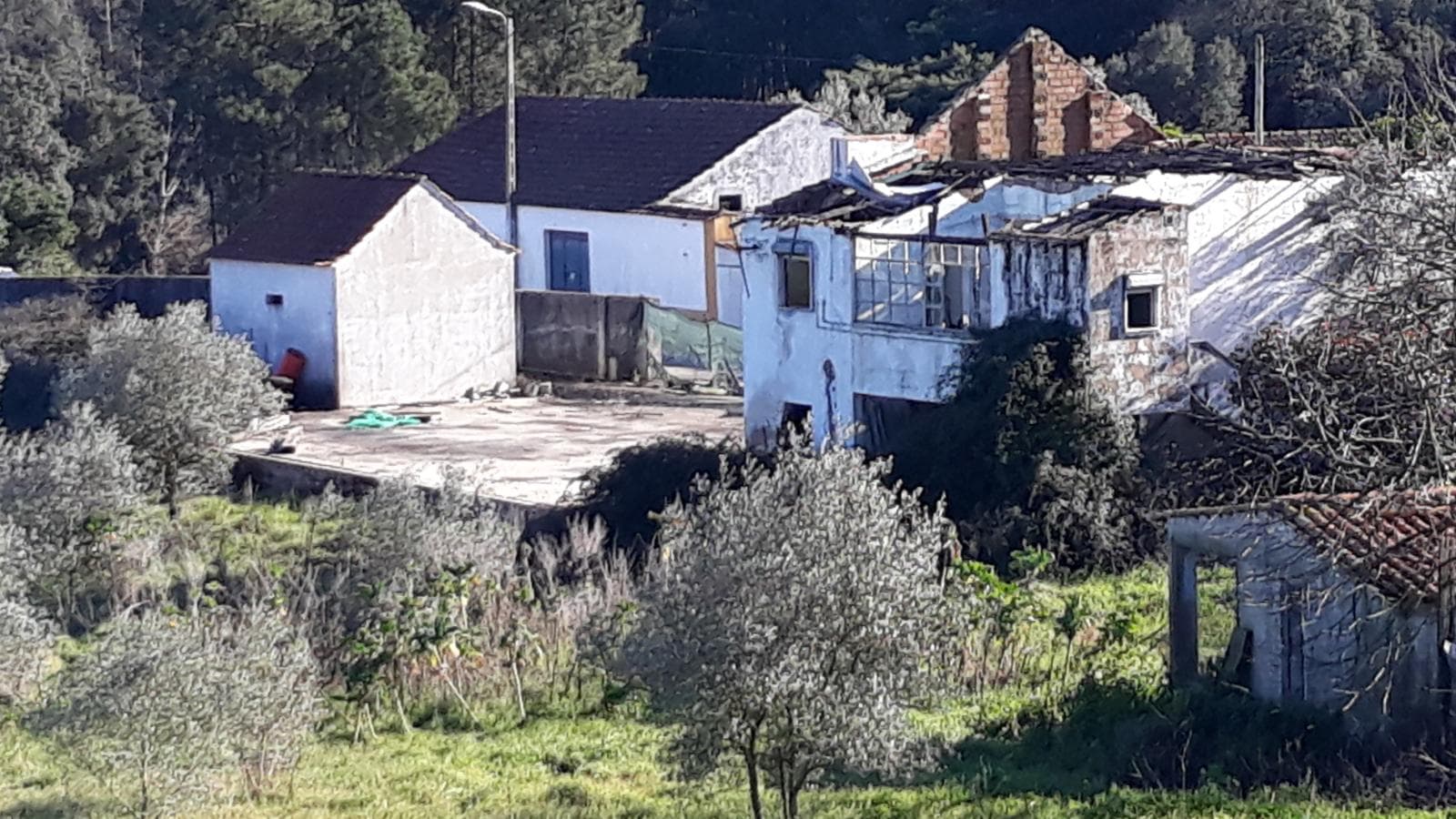 Quinta com casarão e Terreno · Ferreira do Zêzere — image 5