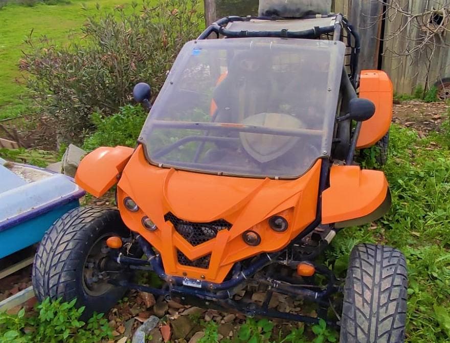 Buggy Renli RLG1-500 DZ — imagem 2