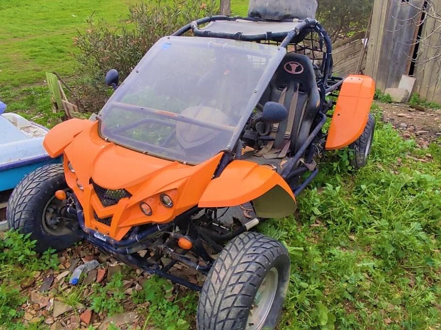 Buggy Renli RLG1-500 DZ — imagem 1