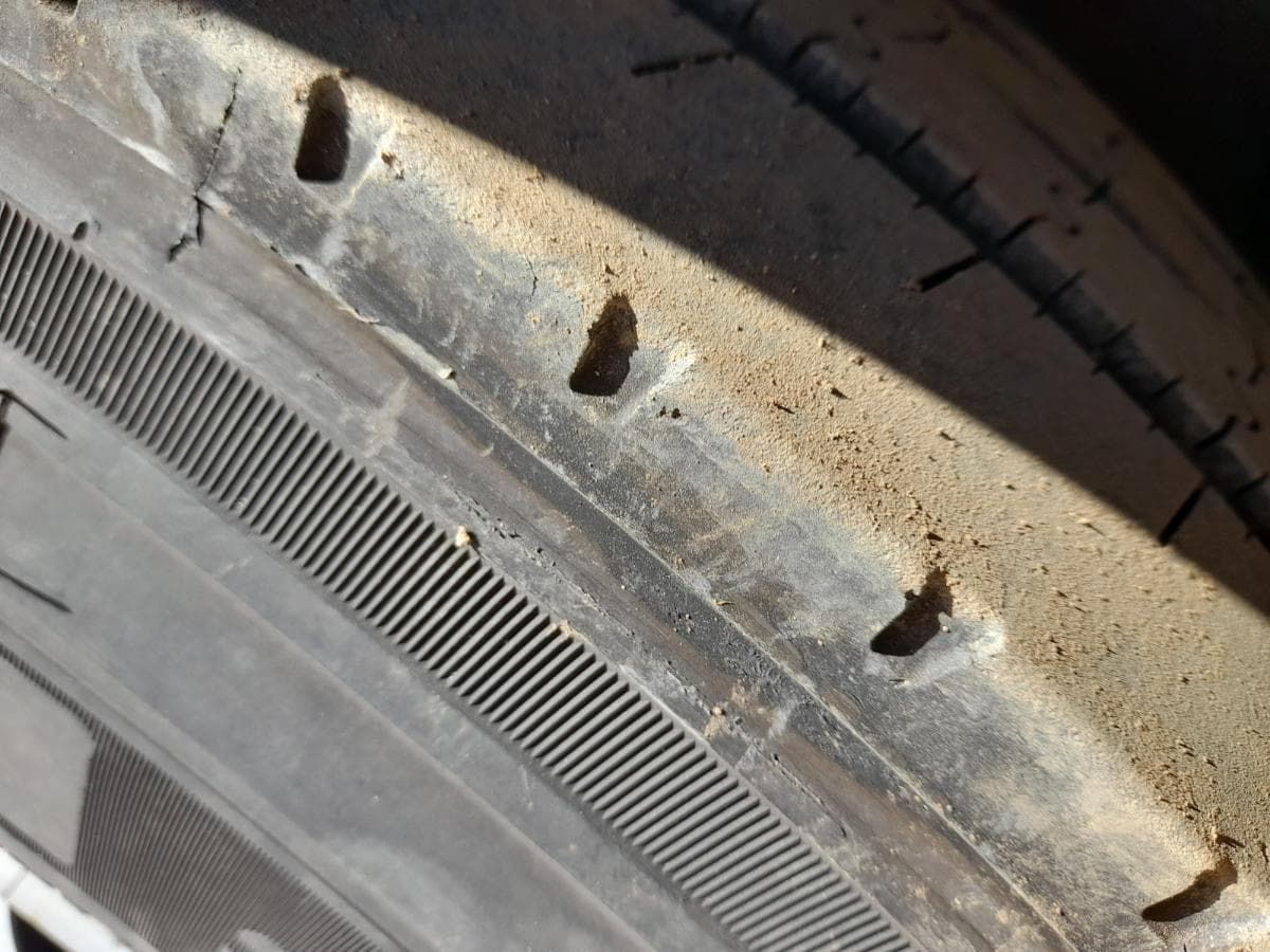 MAN TGX 18.440 — image 12
