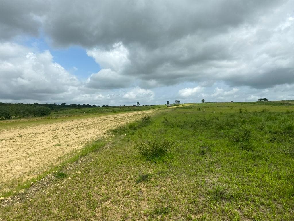 Prédios Rústicos - Luanda Leste — image 16
