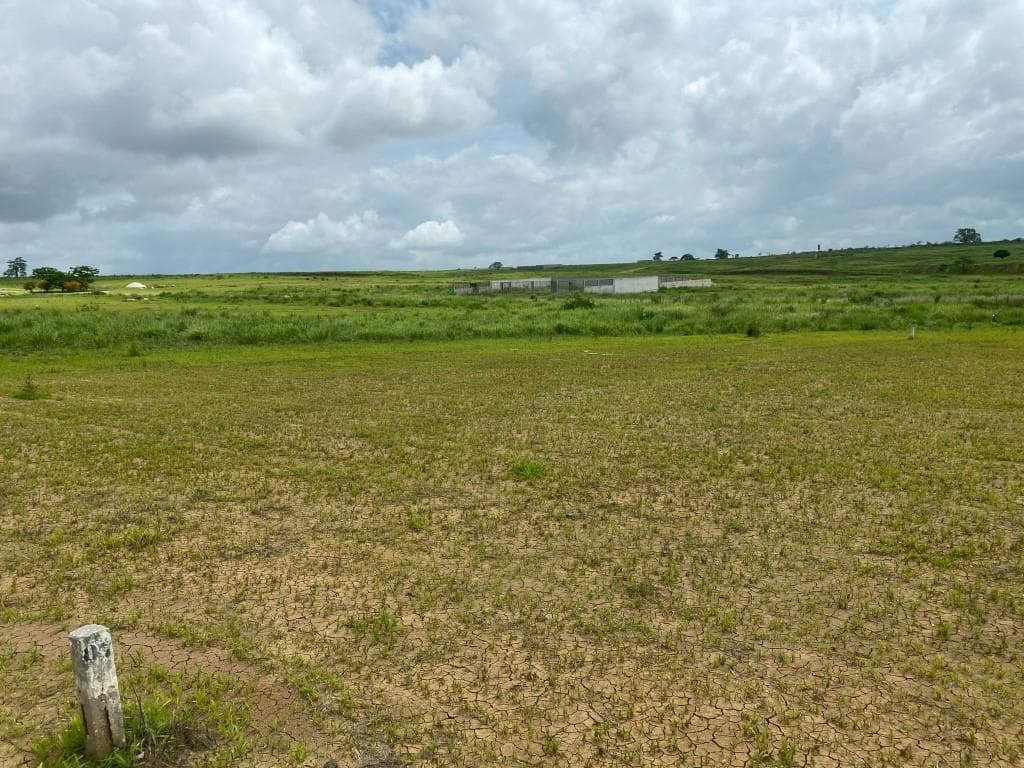 Prédios Rústicos - Luanda Leste — image 13