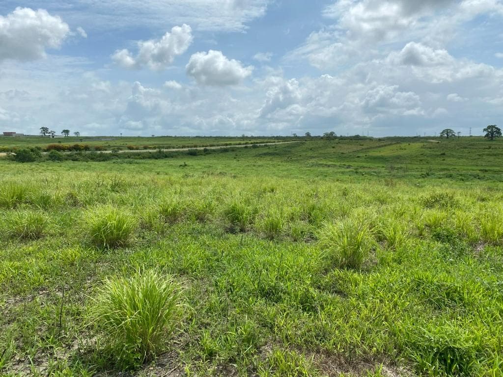 Prédios Rústicos - Luanda Leste — image 17