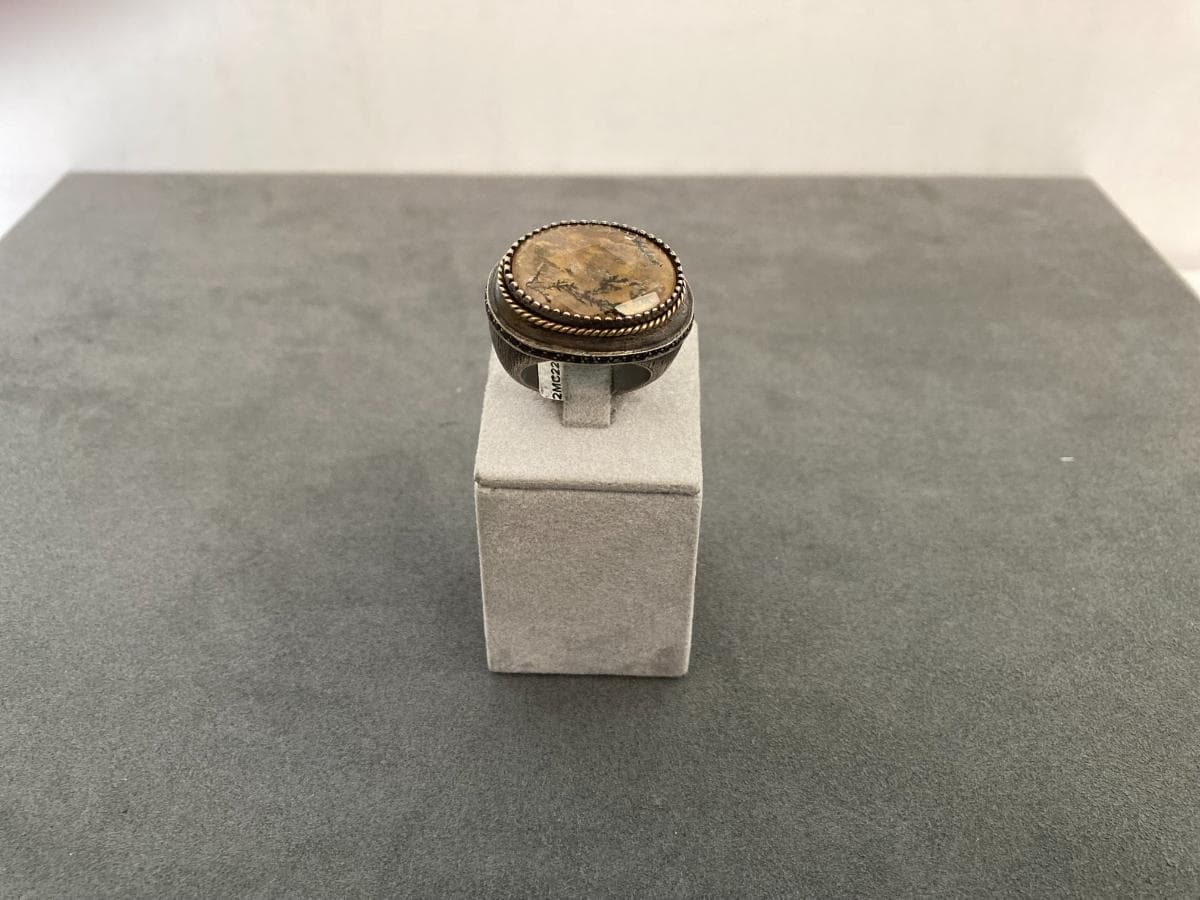 Anillo — imagen 1