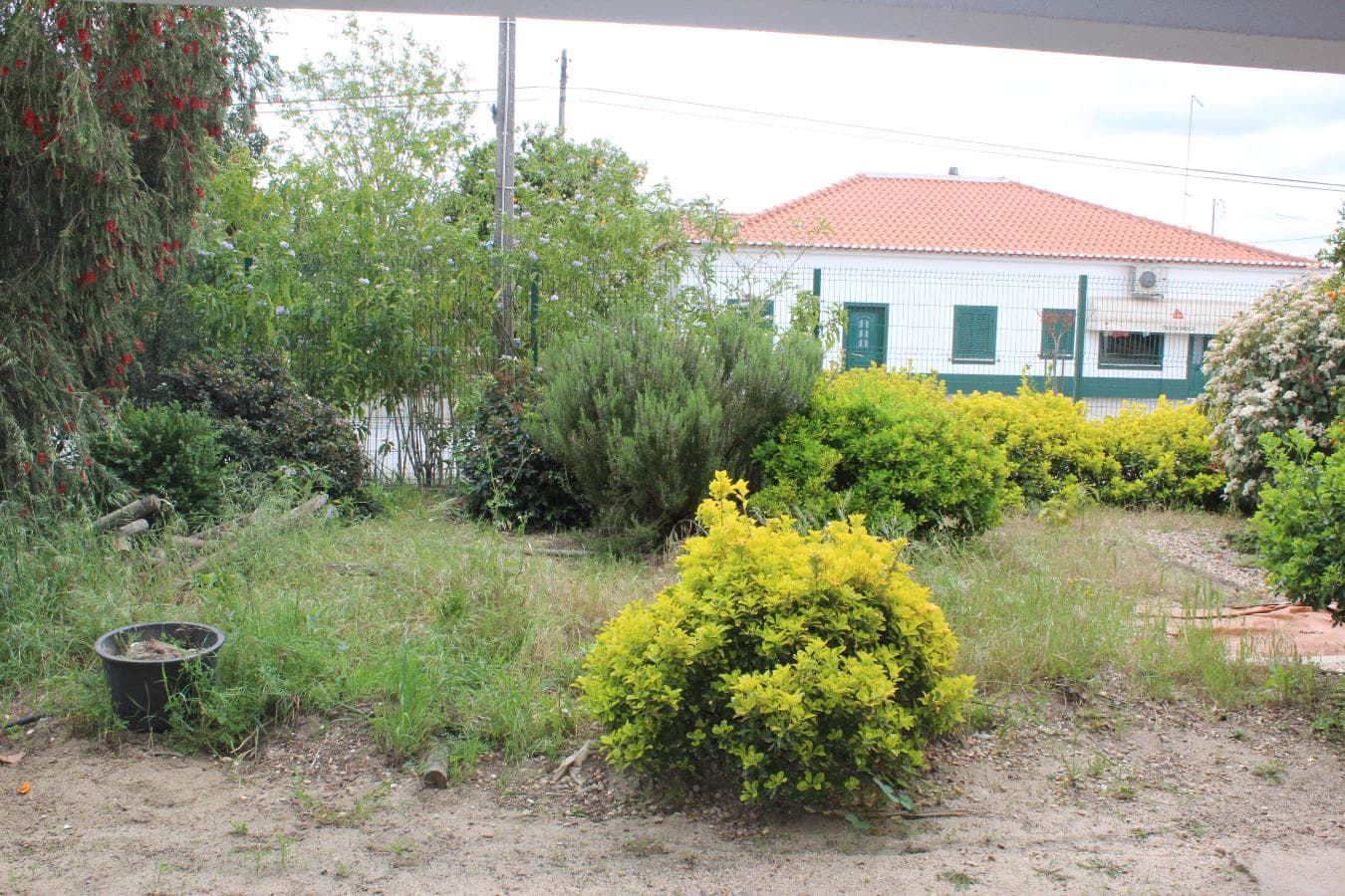 Edifício · Coruche — image 11