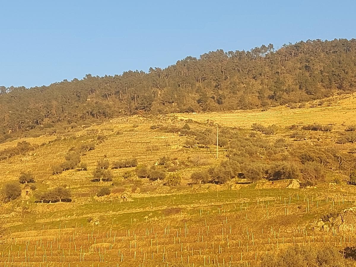 Direito de Usufruto de Terreno