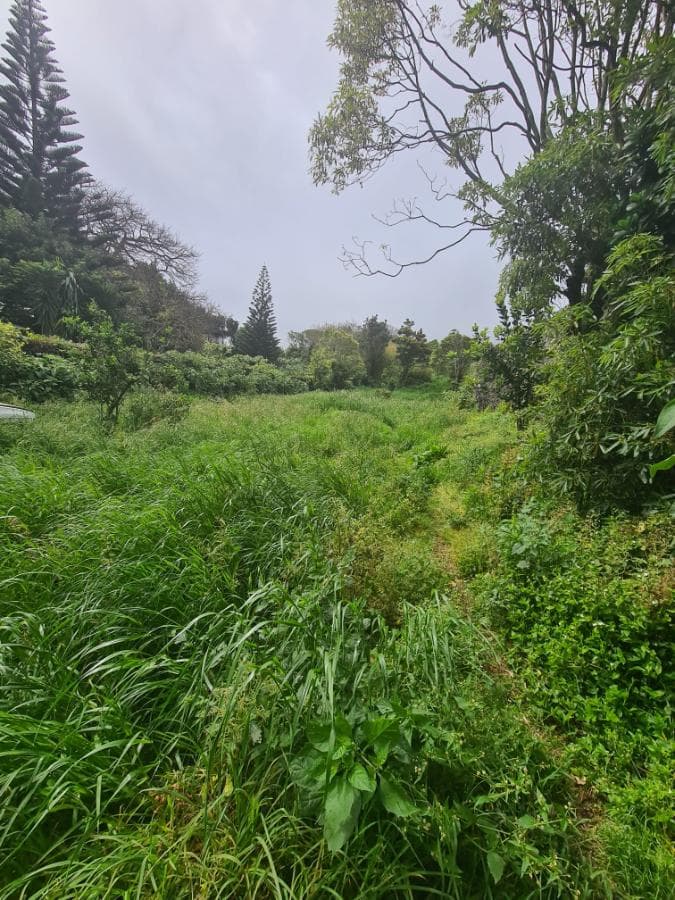 1/2 de Moradia + Terreno · Ponta Delgada, Arquipélago dos Açores — imagen 11