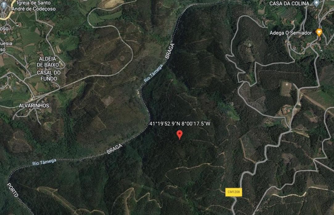 Terreno com +3 Hectares · Rebordelo, Amarante — imagem 2