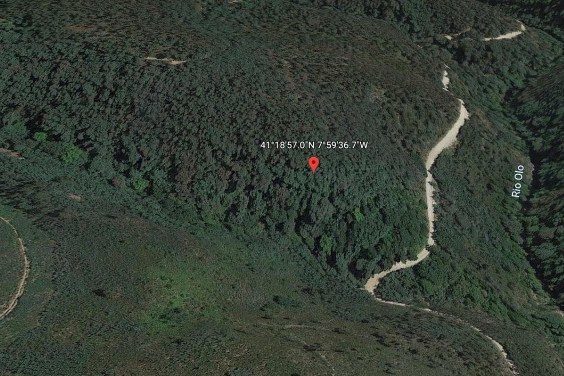 Terreno com +2,4 Hectares · Rebordelo, Amarante — imagem 2