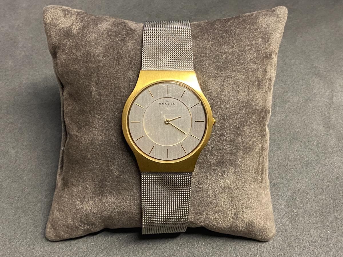 Montre SKAGEN — image 1
