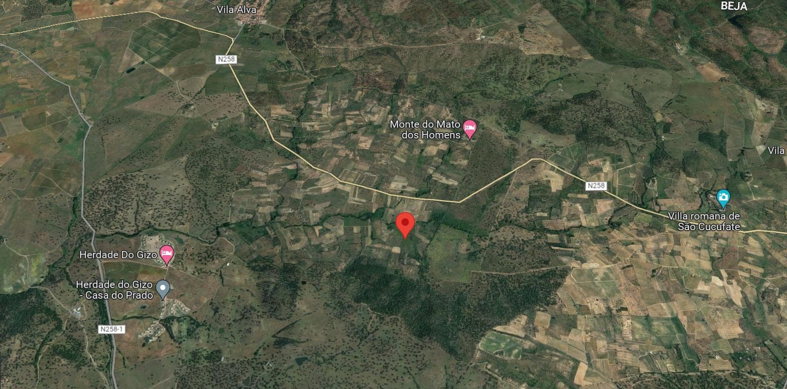 Vinha · Vidigueira, Beja — imagen 15