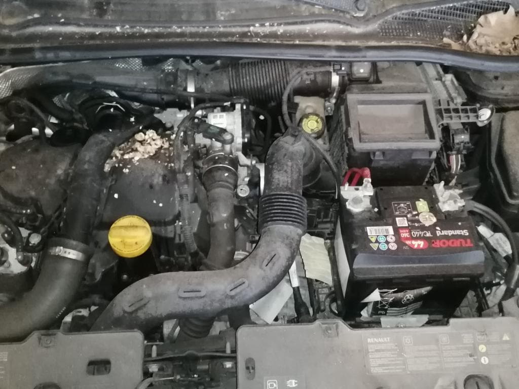 Renault Clio 1.5DCI · Ano 2015 — imagen 17