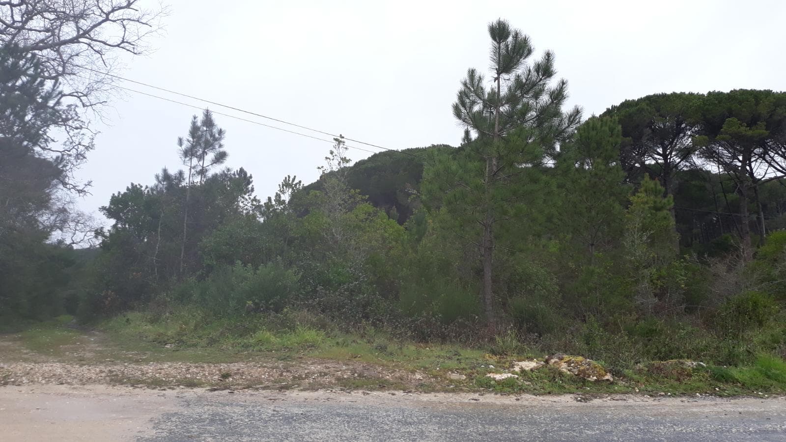 Terreno