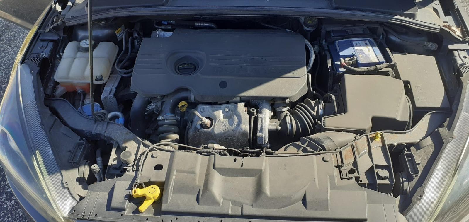 Ford Focus 1.5TDCI · Ano 2016 — imagem 8