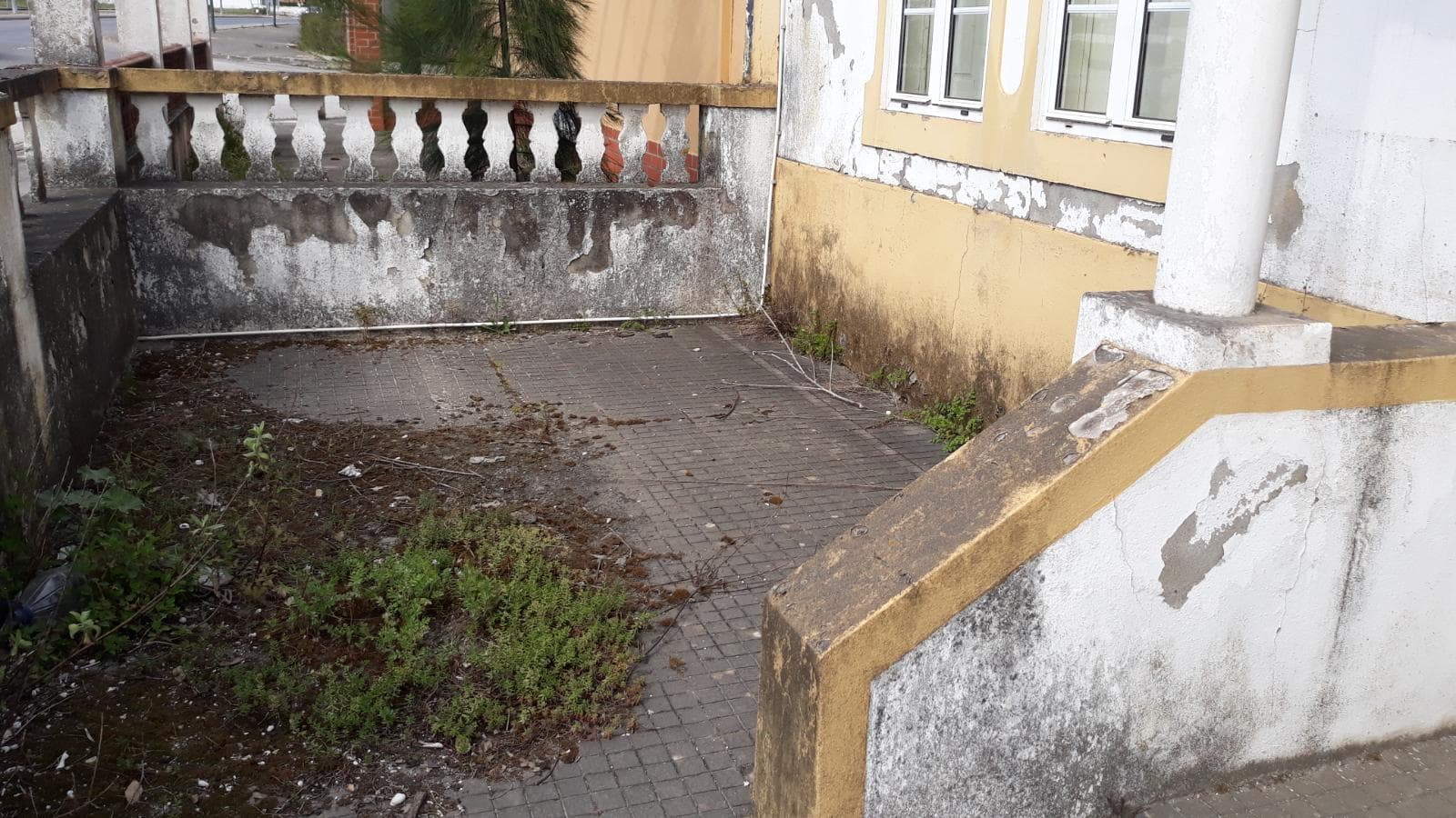 Moradia V3 com Logradouro· Rio Maior — image 9