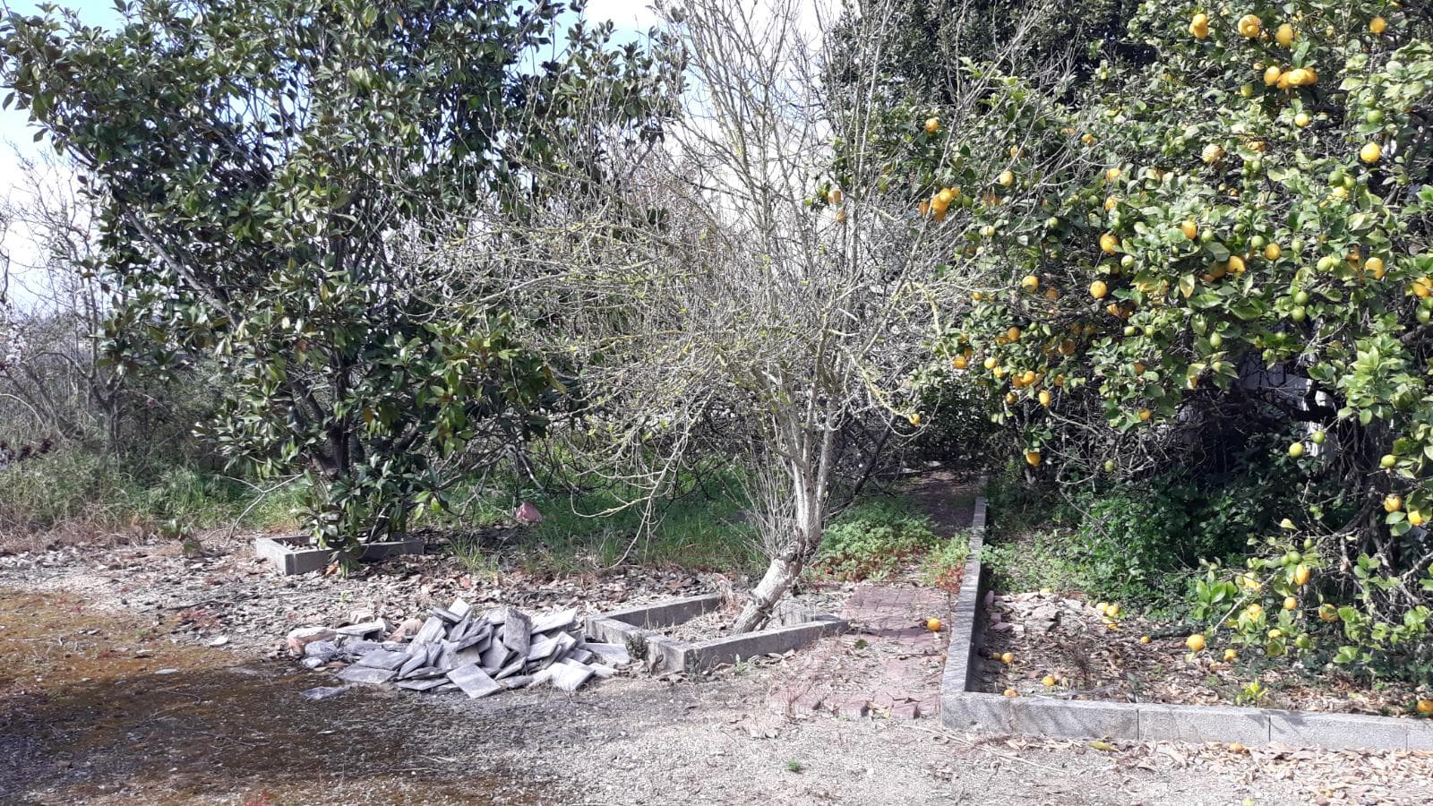 Moradia V3 com Logradouro· Rio Maior — image 11