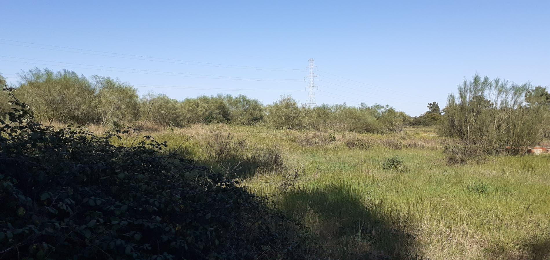 Terreno · Palmela — image 5