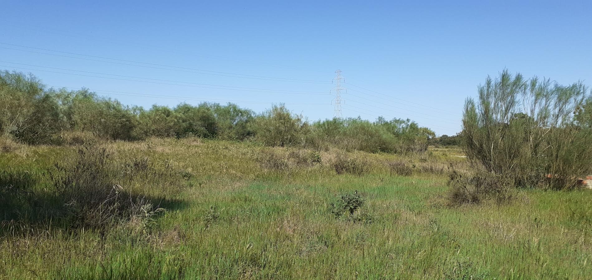Terreno · Palmela — image 6