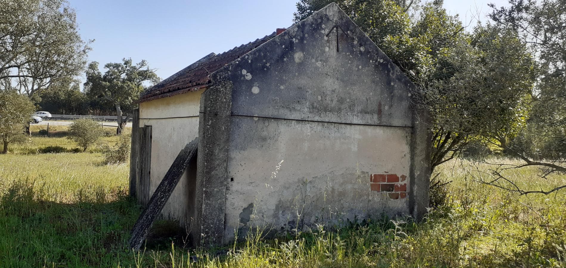 Terreno · Palmela — image 9