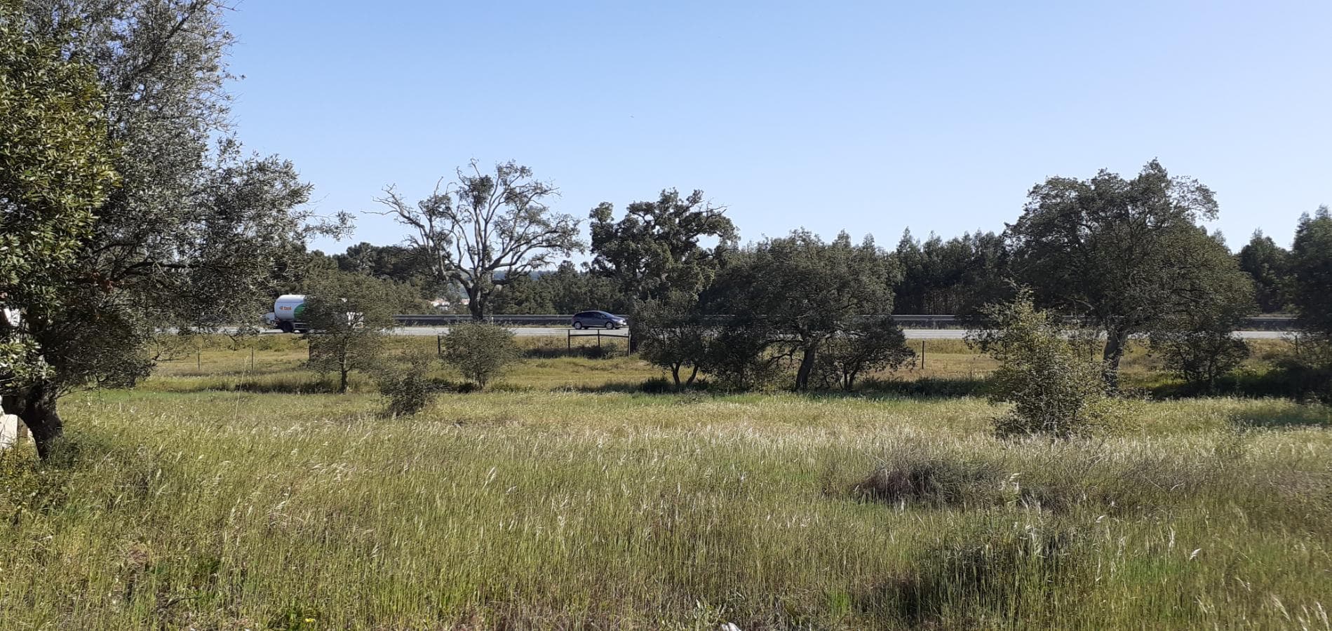 Terreno · Palmela — image 12