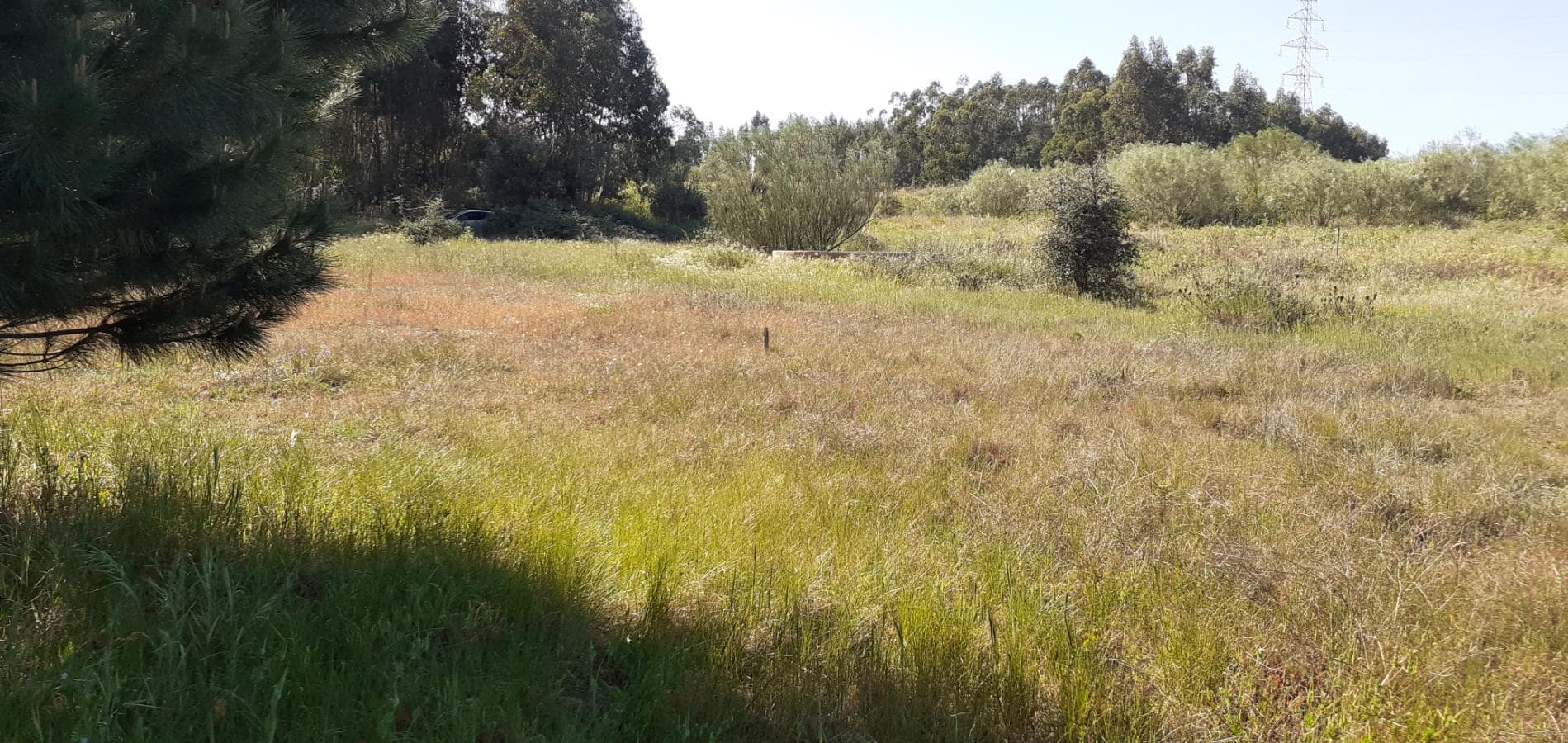 Terreno · Palmela — image 11