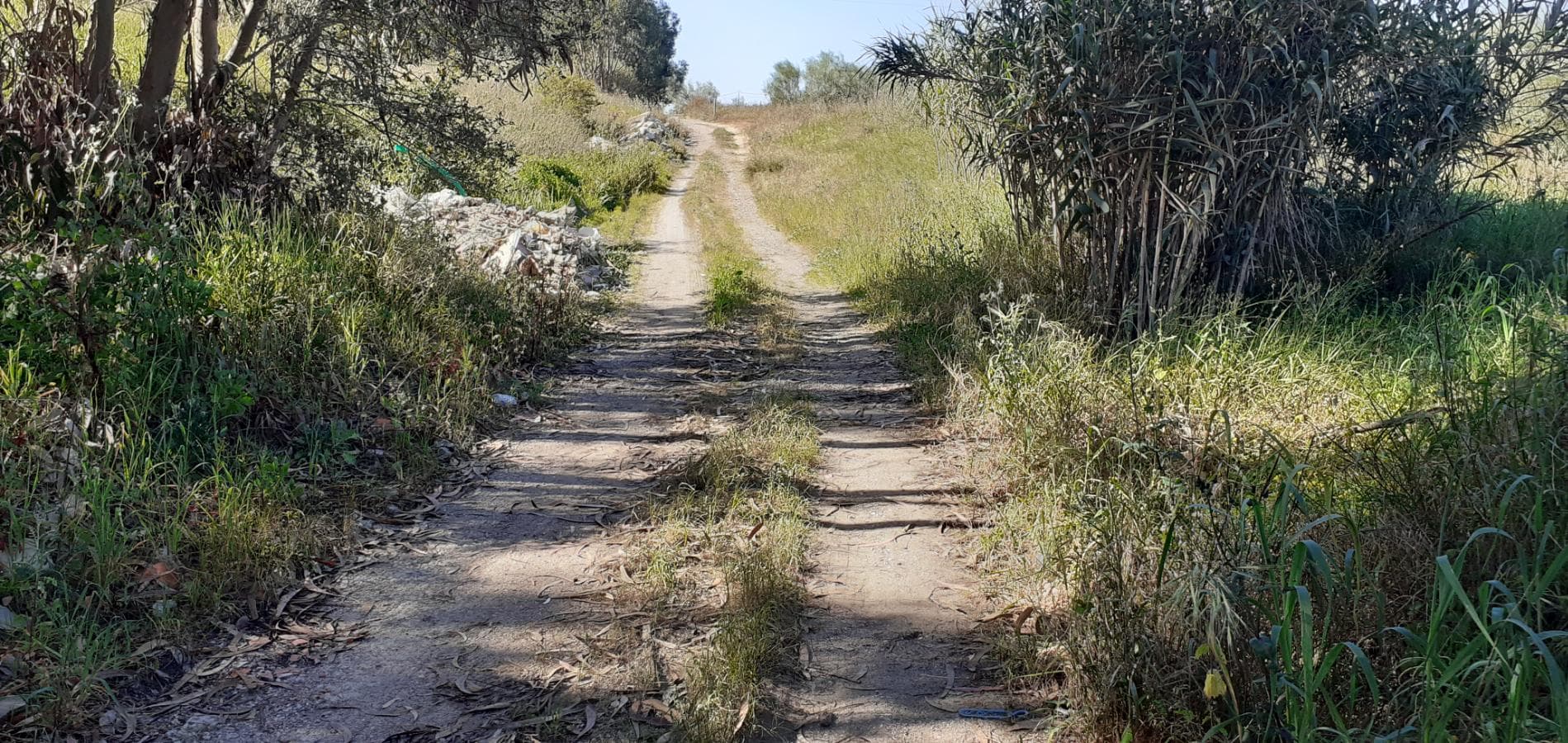 Terreno · Palmela — image 14