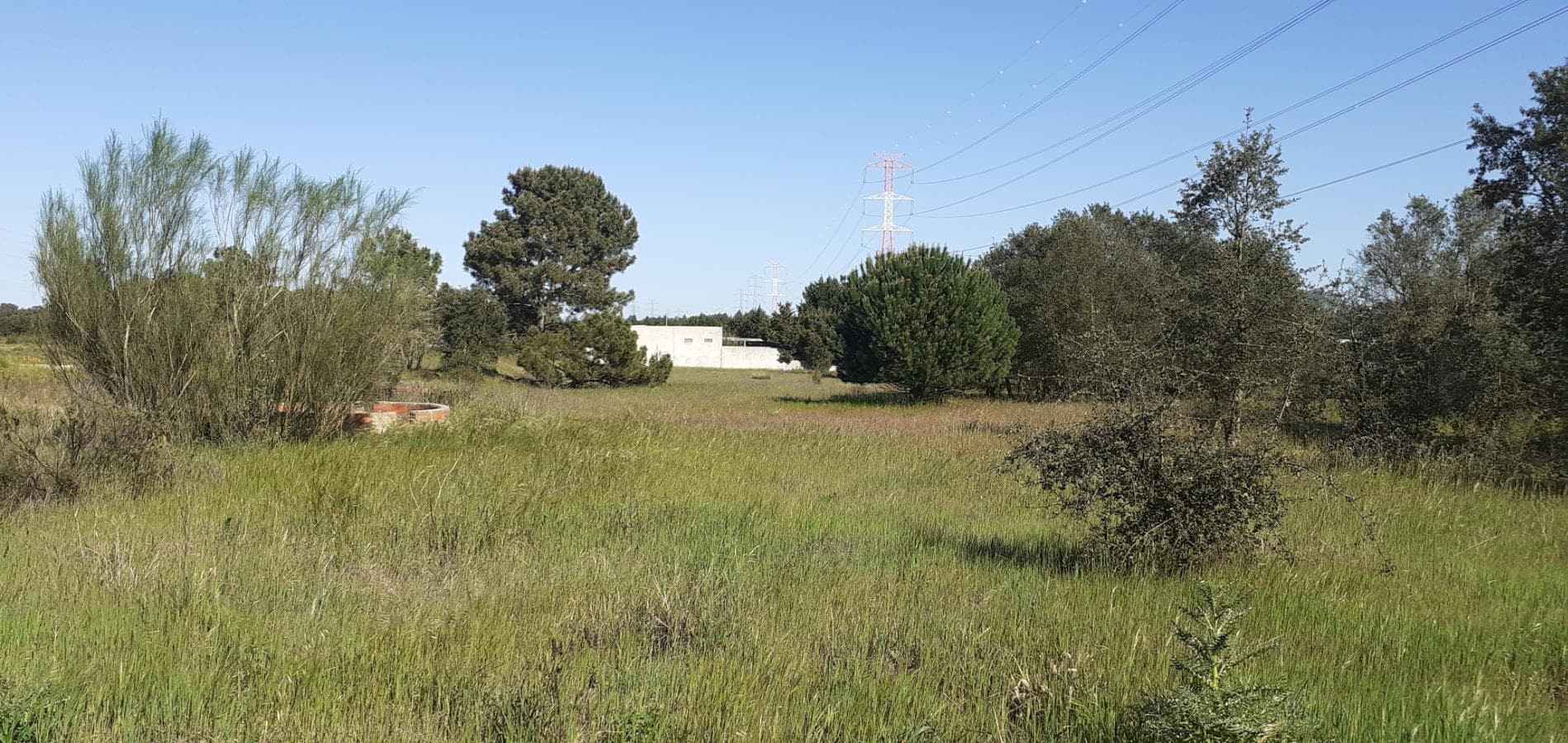 Terreno · Palmela — image 16