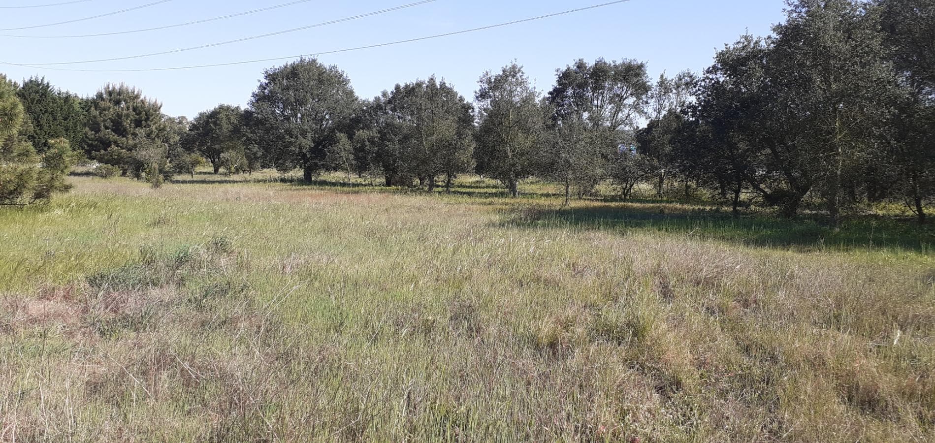Terreno · Palmela — image 17