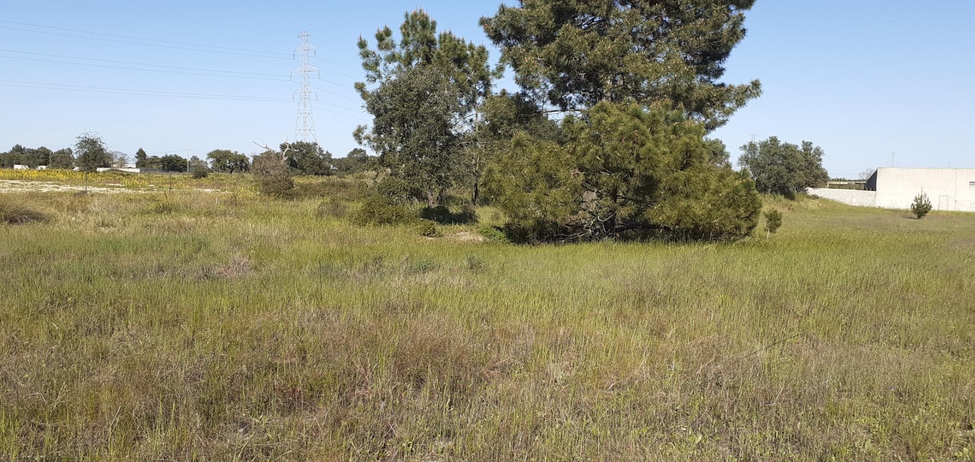 Terreno · Palmela — image 15