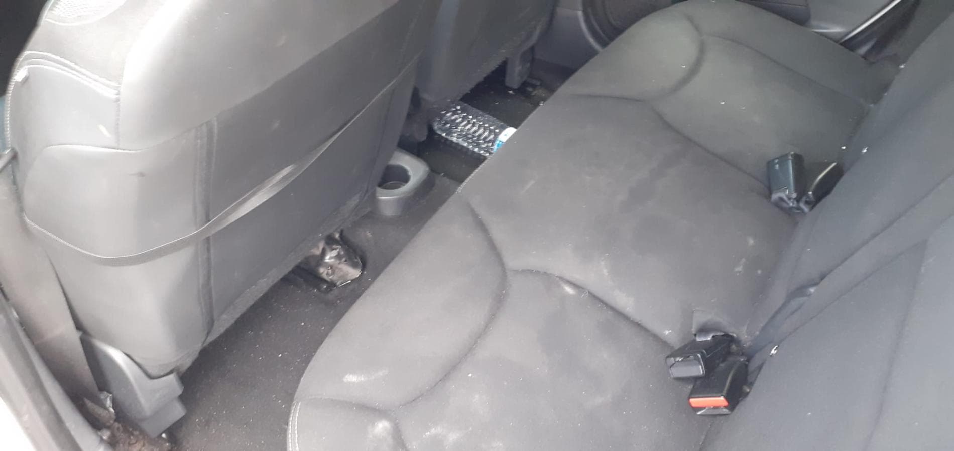 Renault Clio 1.5 DCI · Ano 2014 — imagem 27
