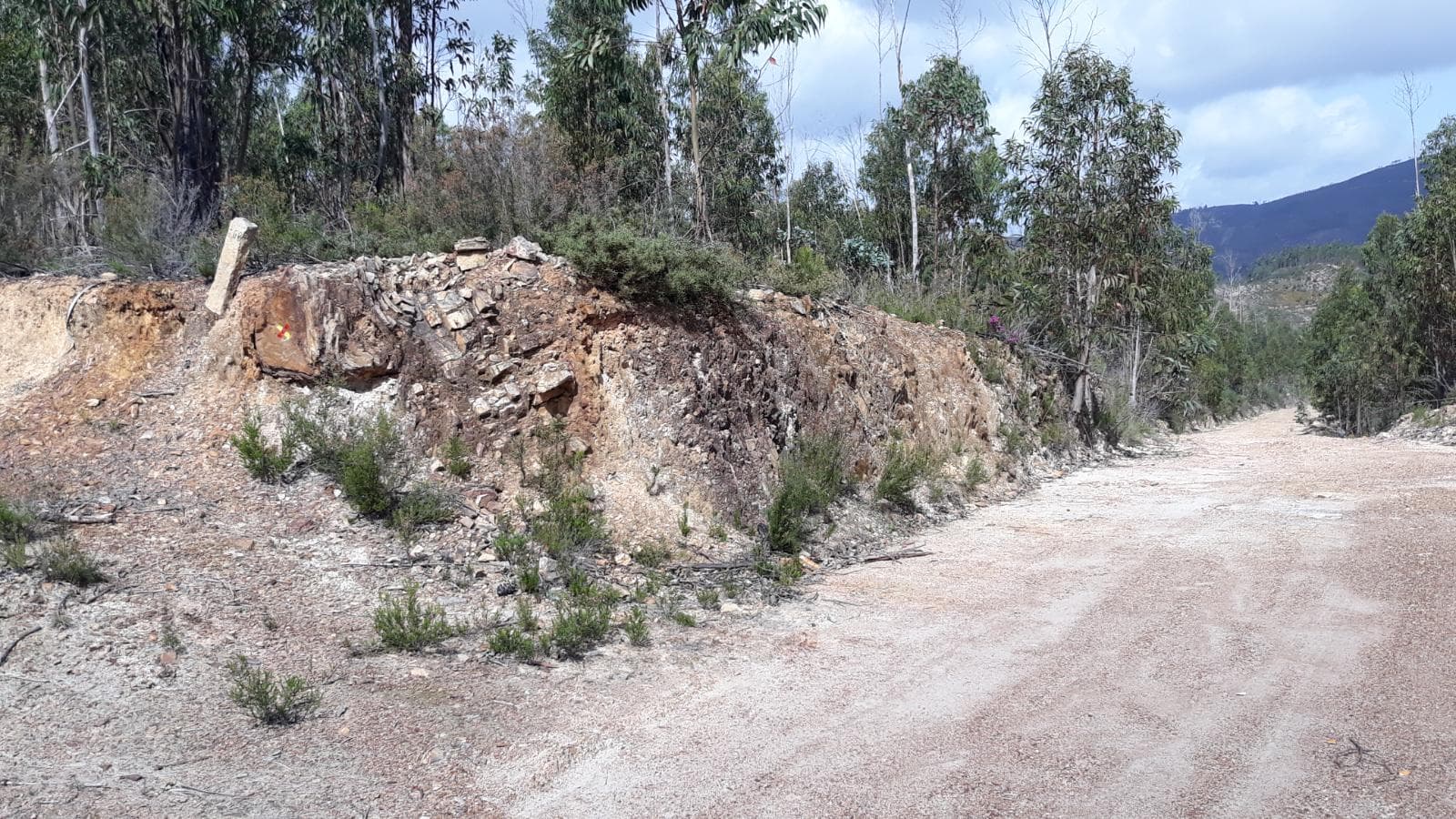Terreno