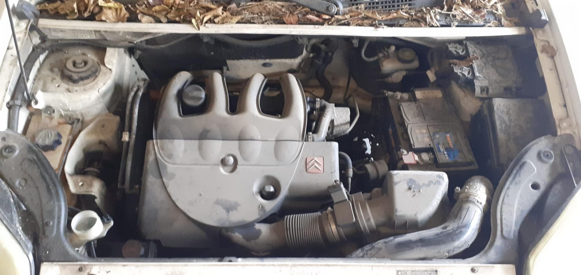 Citroën Berlingo 1.9D · Ano 2007 — imagen 4